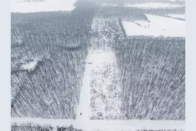 3542 Mann Road, Andover, OH 44003 - Photo 32