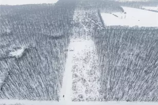 3542 Mann Rd, Andover, OH 44003 - Photo 32