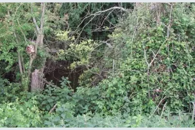 E 23rd Street, Ashtabula, OH 44004 - Photo 4