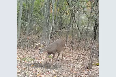 E 23rd Street, Ashtabula, OH 44004 - Photo 2