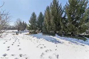 5415 Lake Forest Reserve Ln, Brunswick, OH 44212 - Photo 34