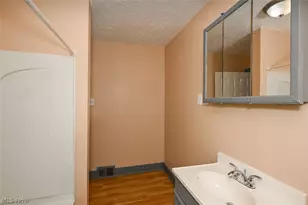 77 W Mildred Ave, Akron, OH 44310 - Photo 38