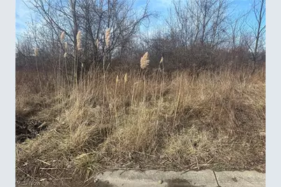 Charles Drive, Lorain, OH 44053 - Photo 2