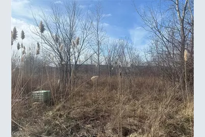 Charles Drive, Lorain, OH 44053 - Photo 1