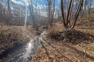 42335 Colburn Rd, , OH 45776 - Photo 14