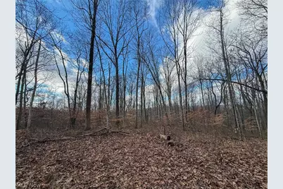 42335 Colburn Rd, , OH 45776 - Photo 36