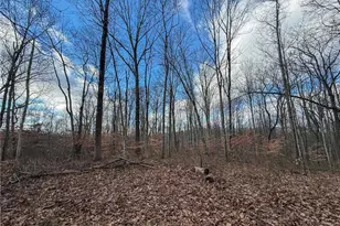 42335 Colburn Rd, , OH 45776 - Photo 36