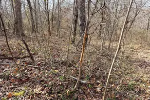 42335 Colburn Rd, , OH 45776 - Photo 44