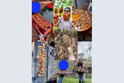 42335 Colburn Rd, , OH 45776 - Photo 26