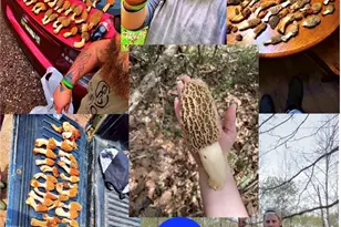 42335 Colburn Rd, , OH 45776 - Photo 26