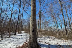 42335 Colburn Rd, , OH 45776 - Photo 20