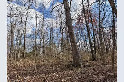 42335 Colburn Rd, , OH 45776 - Photo 46