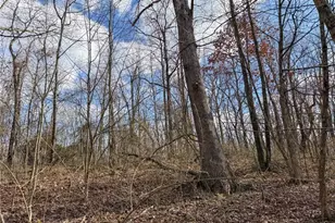 42335 Colburn Rd, , OH 45776 - Photo 46