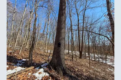 42335 Colburn Rd, , OH 45776 - Photo 30