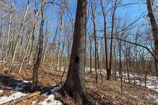 42335 Colburn Rd, , OH 45776 - Photo 30