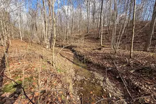 42335 Colburn Rd, , OH 45776 - Photo 42