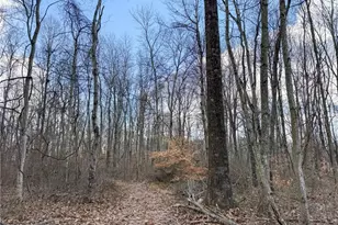 42335 Colburn Rd, , OH 45776 - Photo 38