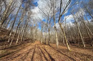 42335 Colburn Rd, , OH 45776 - Photo 40