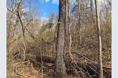 42335 Colburn Rd, , OH 45776 - Photo 48