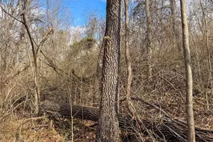 42335 Colburn Rd, , OH 45776 - Photo 48