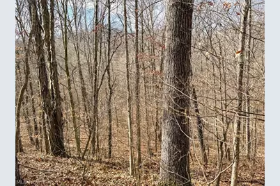 42335 Colburn Rd, , OH 45776 - Photo 50