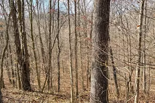 42335 Colburn Rd, , OH 45776 - Photo 50