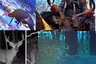 42335 Colburn Rd, , OH 45776 - Photo 24