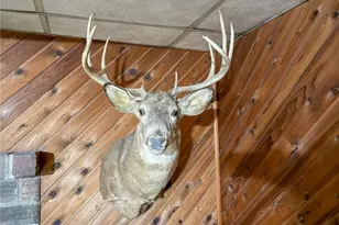 42335 Colburn Rd, , OH 45776 - Photo 10