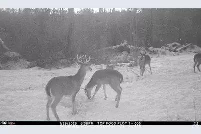 8100 Oh-78, Caldwell, OH 43724 - Photo 40