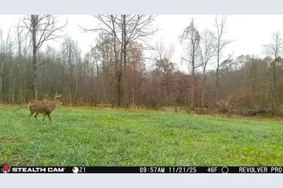 8100 Oh-78, Caldwell, OH 43724 - Photo 36