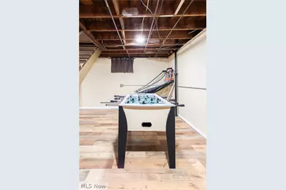 12307 Shady Oak Boulevard, Loveland, OH 44125 - Photo 28