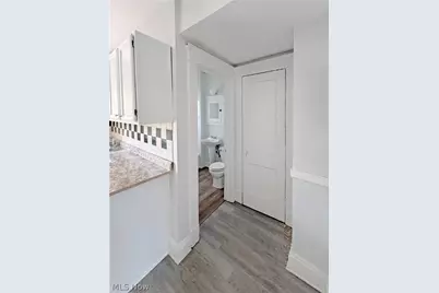 1156 Carl Avenue, Loveland, OH 44103 - Photo 28