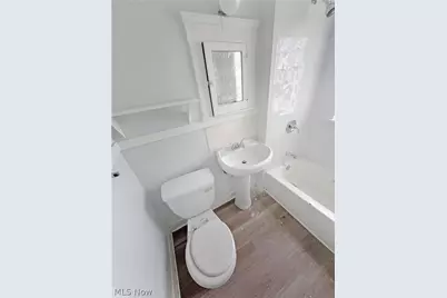 1156 Carl Avenue, Loveland, OH 44103 - Photo 46