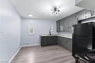 876 Eloise Dr, Loveland, OH 44112 - Photo 12