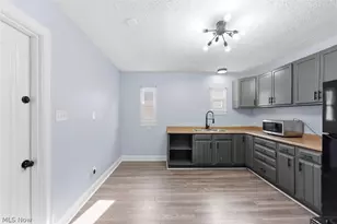 876 Eloise Dr, Loveland, OH 44112 - Photo 34