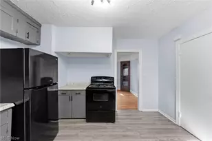 876 Eloise Dr, Loveland, OH 44112 - Photo 10