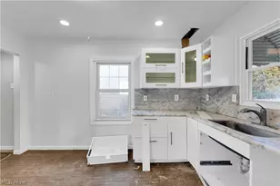 1077 E 169th St, Loveland, OH 44110 - Photo 10