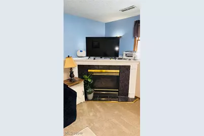 9 Willow Way, Canfield, OH 44406 - Photo 12