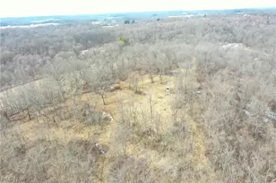 1325 County Line Rd, Hopewell, OH 43760 - Photo 44