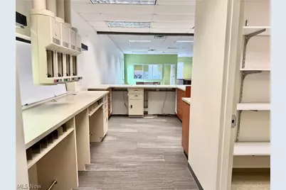 6020 Manchester Road, Akron, OH 44319 - Photo 30