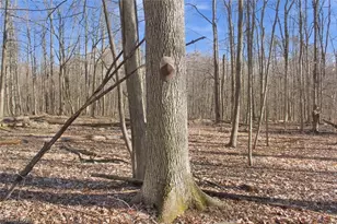 0 Chatham Rd, Spencer, OH 44275 - Photo 10