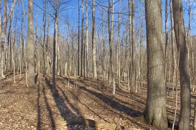 0 Chatham Road, Spencer, OH 44275 - Photo 16