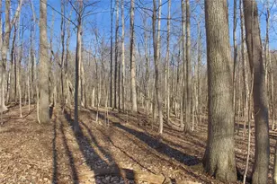 0 Chatham Rd, Spencer, OH 44275 - Photo 16