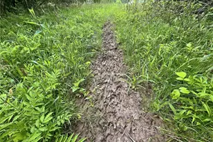 0 Chatham Rd, Spencer, OH 44275 - Photo 36