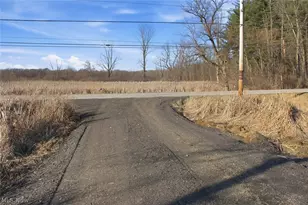 0 Chatham Rd, Spencer, OH 44275 - Photo 2