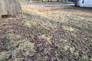 202 Walton Ave, Barnesville, OH 43713 - Photo 10