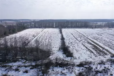 Maple Road, Jefferson, OH 44047 - Photo 8