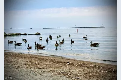 136 Minnesota Avenue, Ashtabula, OH 44004 - Photo 40