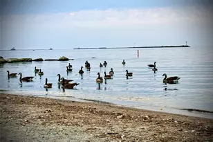 136 Minnesota Ave, Ashtabula, OH 44004 - Photo 40