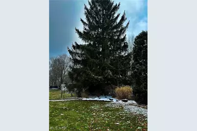 4049 Alvacardo Street, Canfield, OH 44406 - Photo 40